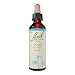 Bach - Vine (20ml)