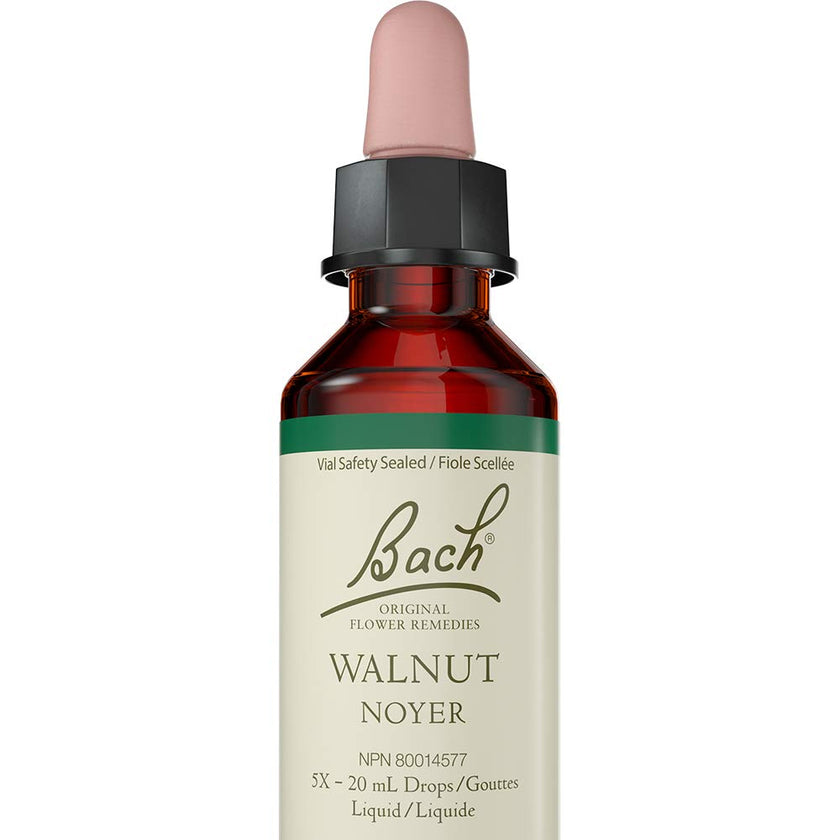 Bach - Walnut (20ml)