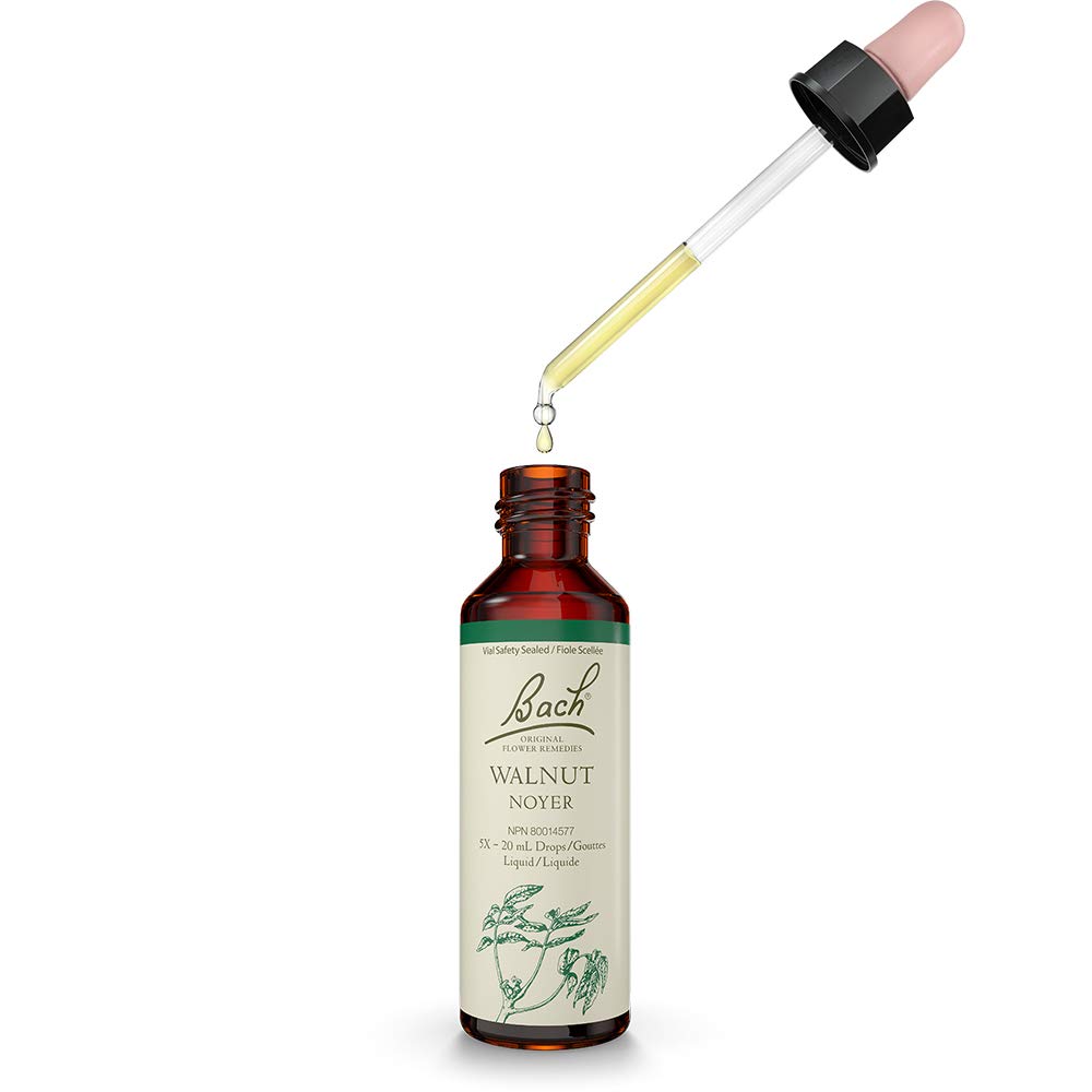 Bach - Walnut (20ml)