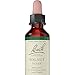 Bach - Walnut (20ml)