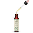 Bach - Walnut (20ml)