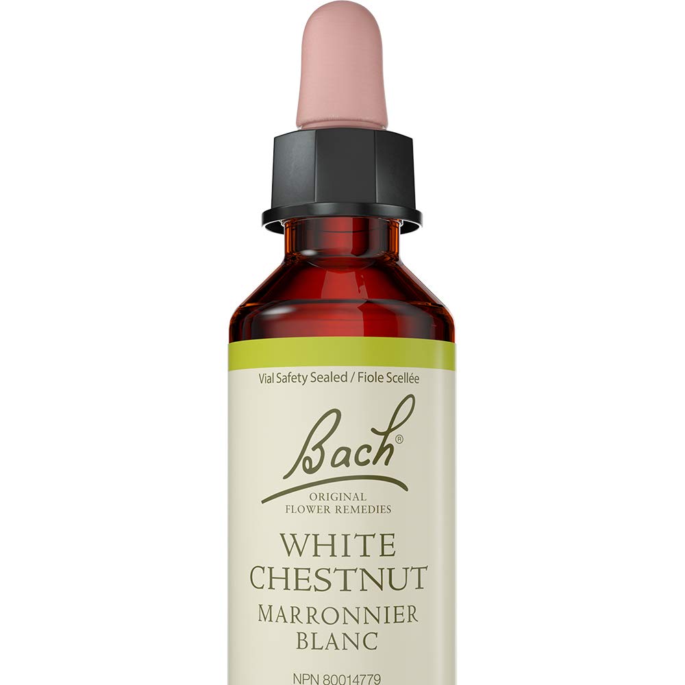 Bach - White Chestnut (20ml)