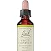 Bach - White Chestnut (20ml)