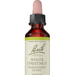 Bach - White Chestnut (20ml)