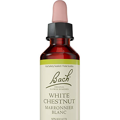 Bach - White Chestnut (20ml)