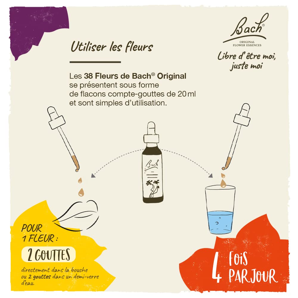 Bach - Clematis (20ml)