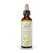 Bach - Clematis (20ml)