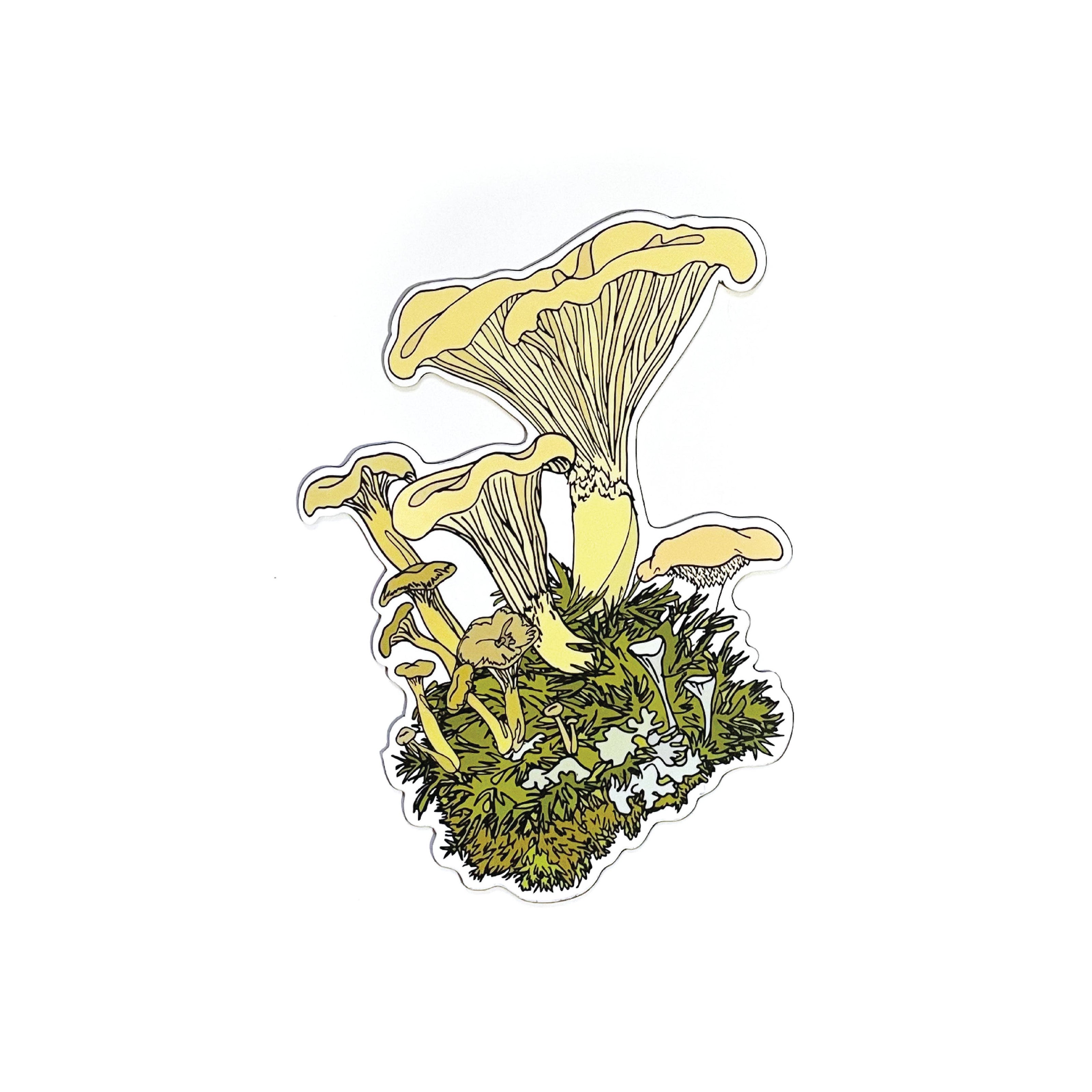 Chanterelle Mushroom Magnet