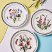 Portmeirion - Dinner Plate 10