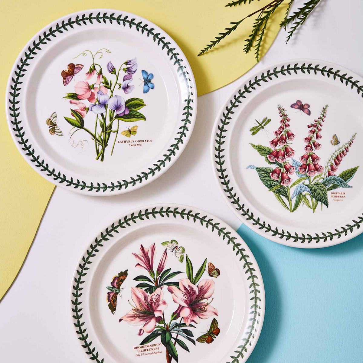 Portmeirion - Dinner Plate 10