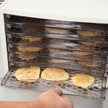 WESTON - 6 Tray Food Dehydrator - 75-0301-W