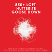 850 Loft Hutterite Goose Down Pillow