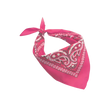 Europe Bound Bandanas 5 pack