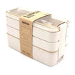 Microwave-Safe Multi Layer Lunch Box for Kids