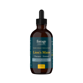 Forage Hyperfoods - Lion's Mane Tincture - Alcohol Free (118ml)
