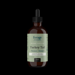 Forage Hyperfoods - Turkey Tail Tincture - Alcohol Free (118ml)