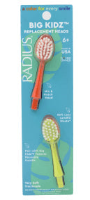 Radius Corporation - Rplcmnt Heads 2pk Forever Big Kid (2ct)