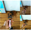 Hair Grooming Brush comb For Pet Dog Cat Deshedding comb