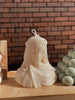 Veiled Lady