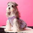 New Years Lover Sequin Dog Dress | Luxury Party Pet Dress