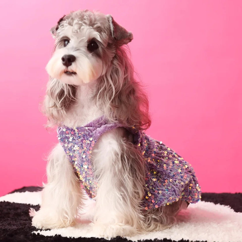 New Years Lover Sequin Dog Dress | Luxury Party Pet Dress