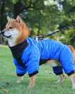 Vancouver Dog Rain Jacket | Waterproof Dog Jacket
