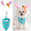 Easter Bunny Set – Festive Luxury Dog Outfit