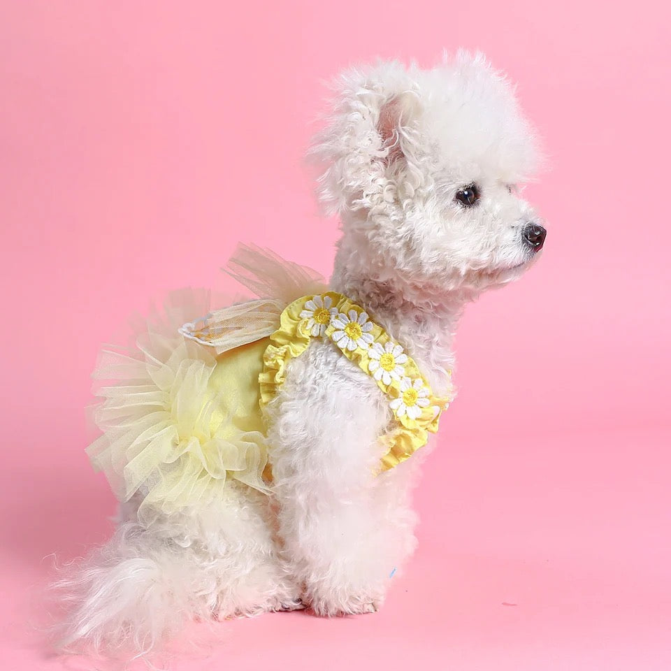 Easter Bunny Dress