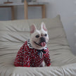 Brrbrry Dog Sweater | Knit Dog Sweater