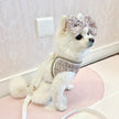 Dog Harness & Leash Set | Isabella Tweed Bow Walking Set