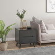 Willow Modern Nightstand/End Table with 2 Drawers-Black