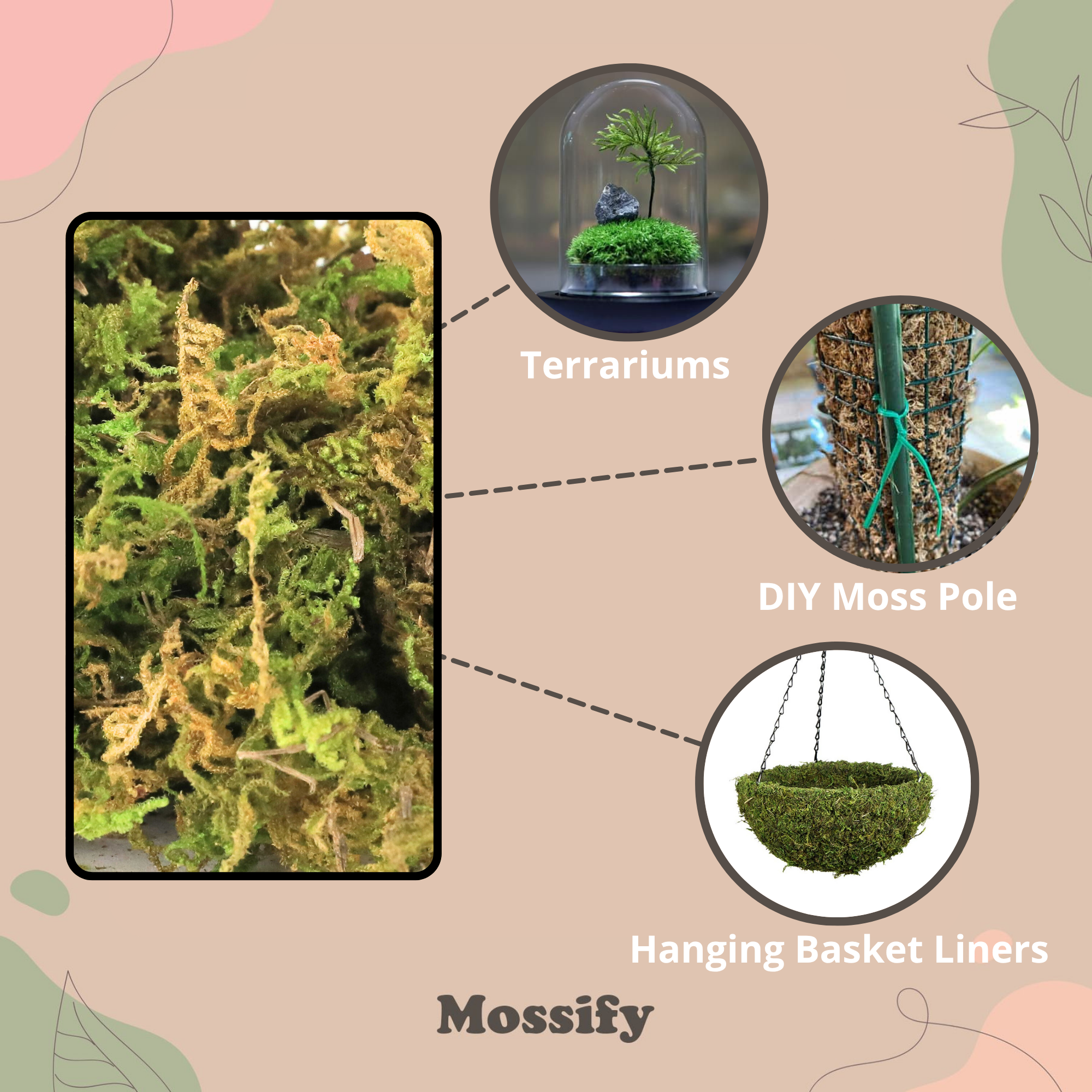 Premium Natural Forest Moss