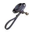 Promo sur Laisse 10 pieds -  3/4
