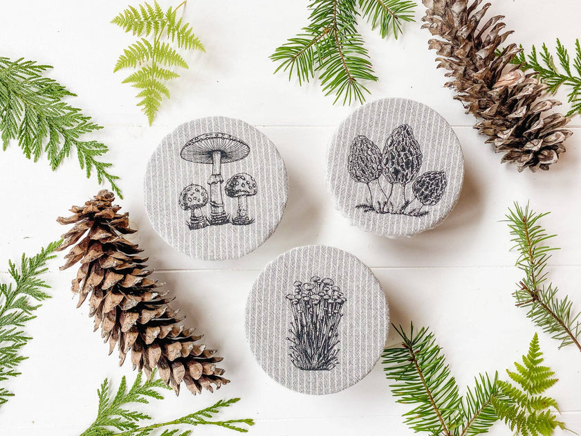 Mushroom bowl covers set of 3 mini / Mushrooms /Mushroom