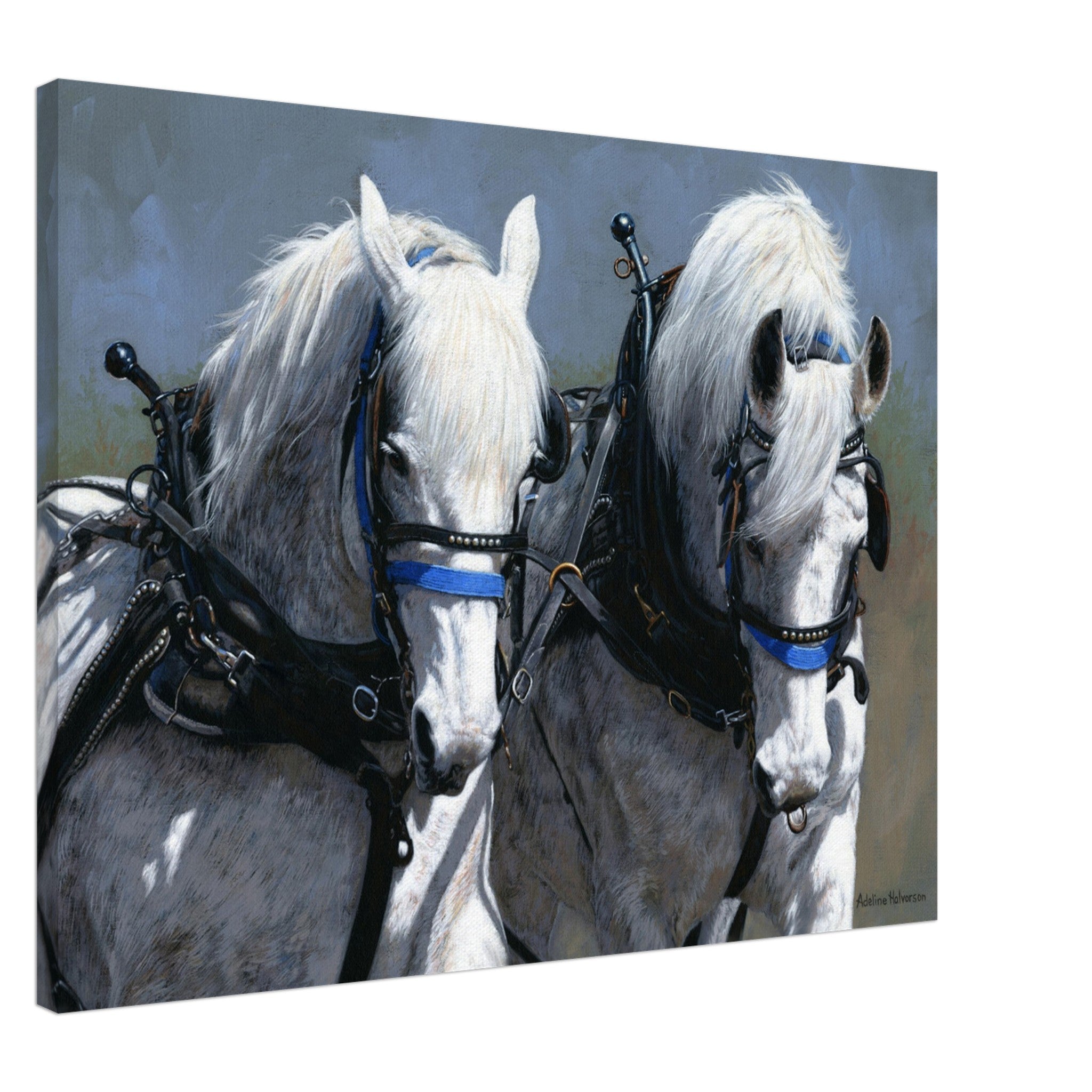 POWER AND GRACE Canvas Print