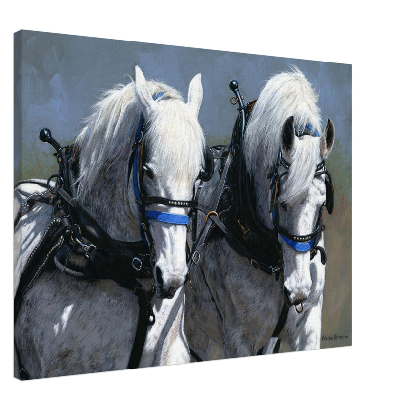 POWER AND GRACE Canvas Print