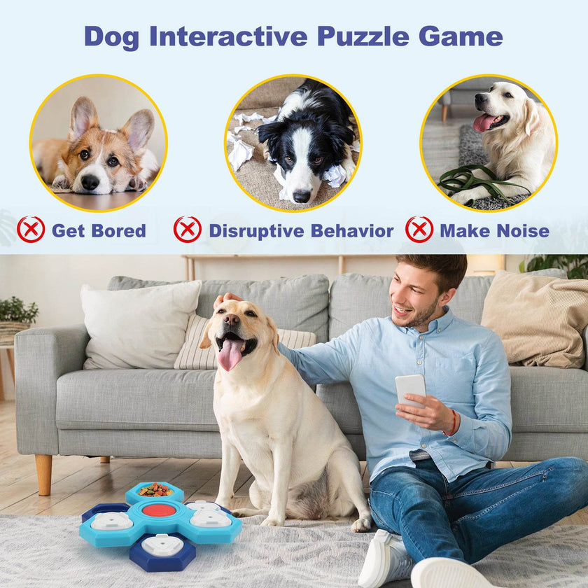 4 Layers Slow Feeder Dog bowl Puzzle feeder toy