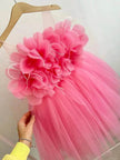 Flower Girl Princess Ball gown for kids