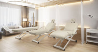 SilverFox 3 motors 4 Section Electric Massage Table 2274B with Hand Controller Cream / Black