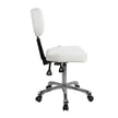 Silverfox Rolling Stool with Backrest 1030