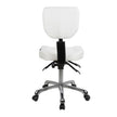 Silverfox Rolling Stool with Backrest 1030