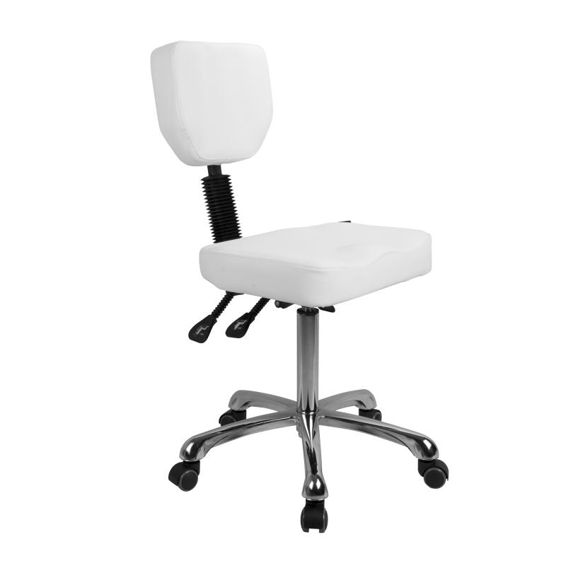 Silverfox Rolling Stool with Backrest 1030