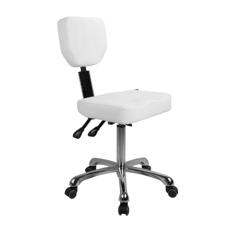 Silverfox Rolling Stool with Backrest 1030