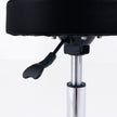 Silverfox Rolling Stool 1023A