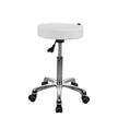 Silverfox Rolling Stool 1023A