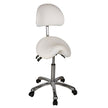Silverfox Saddle Rolling Stool with Backrest 1025A