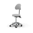 Silverfox Rolling Stool with Backrest 1025B