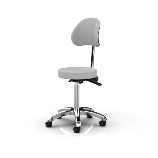 Silverfox Rolling Stool with Backrest 1025B