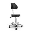 Silverfox Rolling Stool with Backrest 1025B