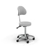 Silverfox Rolling Stool with Backrest 1025B